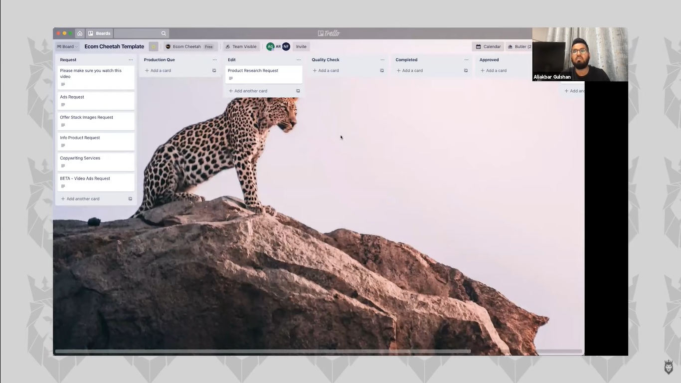 Screen grab of the Ecom Cheetah dashboard